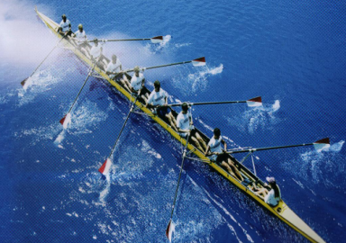 1496995287133496.png 66666.png